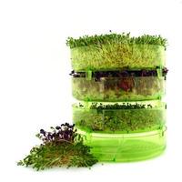 Bavicchi Geo spire Sprouter