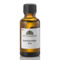 Urtegaarden Økologisk nattlysolje (GLA) - 100 ml