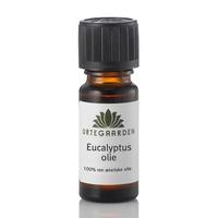 Urtegaarden - Eucalyptusolje - 10ml