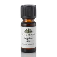 Urtegaarden - Ingefærolje - 10 ml