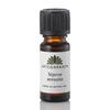 Urtegaarden - Stjerneanisolje - 10ml
