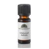 Urtegaarden - Liljekonvall duft olje - 10ml