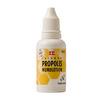 Danasan - Propolis Mundlotion - 20 ml
