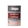 Biogan Jackfruit Ø - 400 g