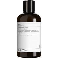 Evolve Superfood Shine Shampoo - 250 ml