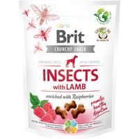 Brit Care Crunchy Cracker Insects med lam og bringebær – 200 g