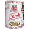 Brit Care Cat Snack Superfruits, lam – 100 g