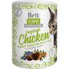 Brit Care Cat Snack Superfruits, kylling – 100 g
