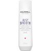 Goldwell Dualsenses Just Smooth Shampoo - 250 ml.