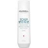 Goldwell Dualsenses Deep Cleansing Shampoo - 250 ml.