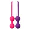 Baseks Kegel Balls Training Set