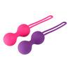 Baseks Kegel Balls Training Set