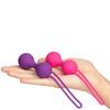 Baseks Kegel Balls Training Set