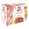 Brit Care Cat smaksboks, 4 varianter i saus- 12 stk.