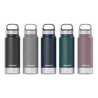 Sistema Hydrate Stainless Steel - 650 ml.