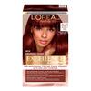 L'Oréal Paris Excellence Universal Nudes Universal Dark Red 4UR