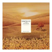 SKIN1004 Madagascar Centella Autumn Special Edition - 1 stk.