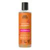 Urtekram Shampoo til barn - 250 ml