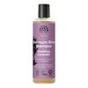 Soothing Lavender Shampoo fra Urtekram – 250 ml