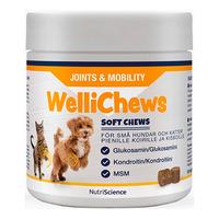 Swedencare Wellichews Joint tyggetabeletter til hund og katt, S - 120 stk.