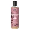 Urtekram Soft Wild Rose Colour Preserve Shampoo – 250 ml.