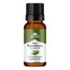 Ayumi Rosemary Essential Oil - 15 ml