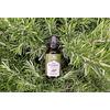 Ayumi Rosemary Essential Oil - 15 ml