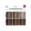 Wella Professionals Colour Touch Deep Brown Medium Maple Brown 6/71 - 130 ml.