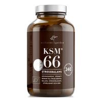 Medicine Garden KSM66 Økonomi - 240 kaps.