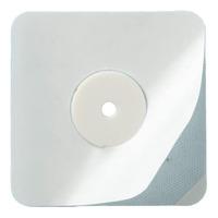 Bacxitium Aktiv Plaster til hund & katt - 1 stk.