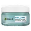Garnier Hyaluron Barrier Repair Night Gel Cream for sensitive skin 50 ml