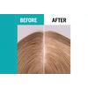 Schwarzkopf Gliss Scalp Balance hodebunnsspray - 100 ml.