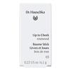 Dr. Hauschka Lip To Cheek 03 Rosewood - 6,1 g.