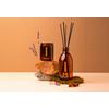 Compagnie de Provence Liquid Marseille Soap Anise Lavender - 495 ml.