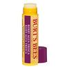 Burt's Bees Berry Agua Fresca leppepomade - 4,25 g.