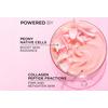 L'Oréal Paris Age Perfect Golden Age Rosy Day Cream – 50 ml.