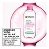 Garnier Skin Active Micellar Cleansing Water økonomikjøp - 700 ml