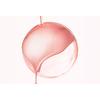 Nuxe Huile Prodigieuse Or Florale Roll-On - 60 ml.