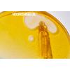 Grown Alchemist Skin Renewal Facial Oil – 25 ml.