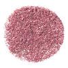 NYX Professional Makeup Face & Body Glitter Brillants – 02 Rose – 2,5 g.