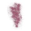 NYX Professional Makeup Face & Body Glitter Brillants – 02 Rose – 2,5 g.