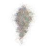 NYX Professional Makeup Face & Body Glitter Brillants – 06 Crystal – 2,5 g.