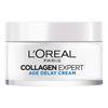 L'Oréal Paris Collagen Expert Age Delay Cream – 50 ml.