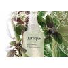Jurlique Holy Basil & Aloe Hydrating Mist – 100 ml.