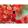 HaruHaru Wonder Rose PDRN beroligende serum – 30 ml.