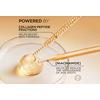 L'Oréal Paris Age Perfect Classic Micro-Collagen Peptide Serum – 30 ml.