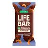 LifeFood Lifebar Havrebar Protein Chocolate Delight – økologisk – 40 g.